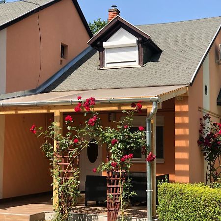 Termal Ferienhaus レンティ エクステリア 写真