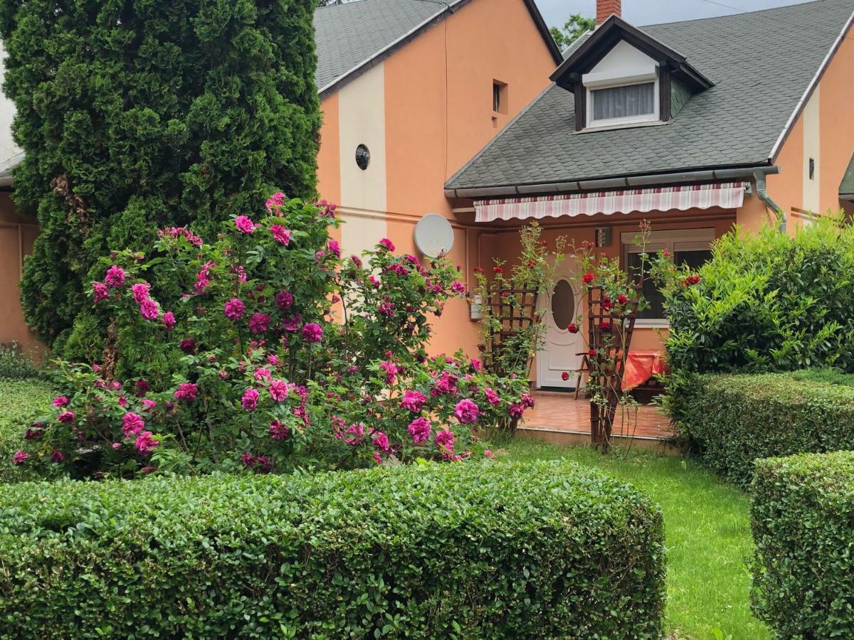 Termal Ferienhaus レンティ エクステリア 写真